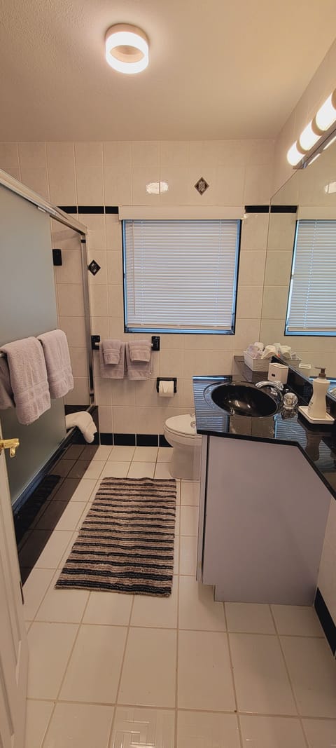 Combined shower/tub, hair dryer, towels, soap