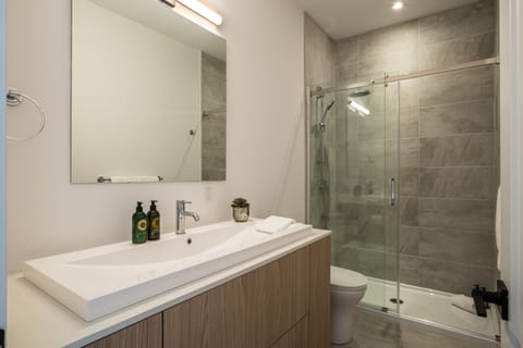 Combined shower/tub, hair dryer, towels