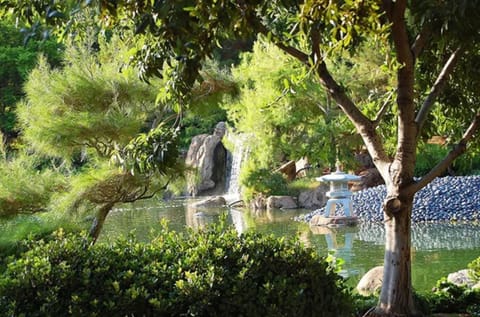 Japanese Friendship Garden of Phoenix