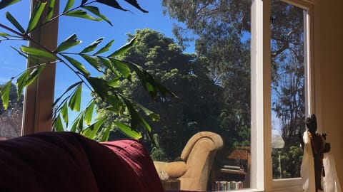 Privacy film means every inch of the picture window is open to the yard & sky.