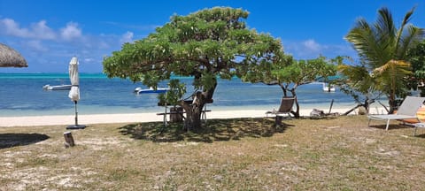 On the beach, sun loungers, beach towels