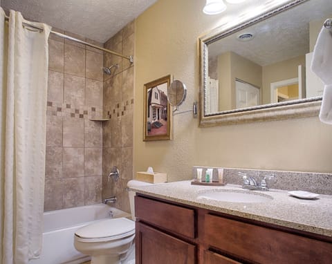 Combined shower/tub, jetted tub, hair dryer, towels