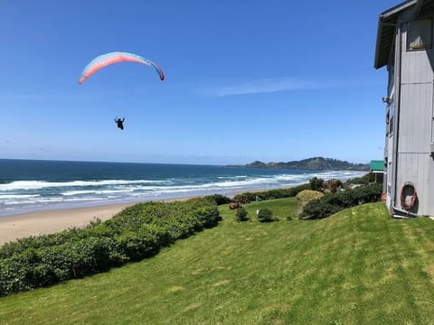 On the beach, sun loungers, beach towels