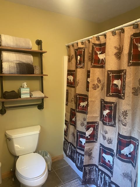 Combined shower/tub, hair dryer, towels, shampoo