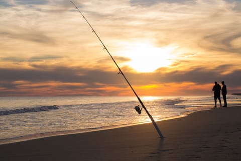 On the beach