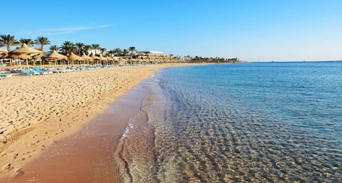 On the beach