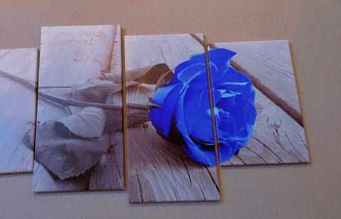 💙The Blue Oasis Home 💙 