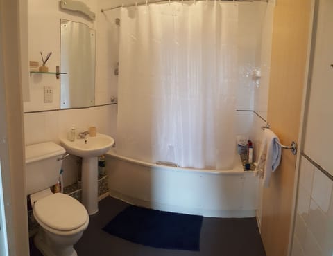 Combined shower/tub, hair dryer, towels, soap