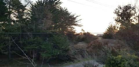 View of Lighthouse Field