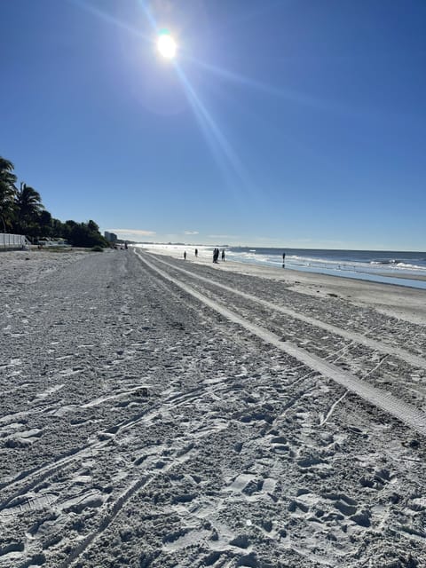 Beach nearby, sun loungers