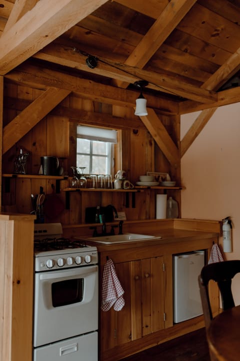 Fridge, oven, stovetop, coffee/tea maker