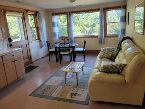 Living room with sleeper couch, kitchen area