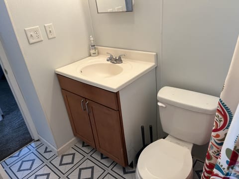 Combined shower/tub, hair dryer, toilet paper