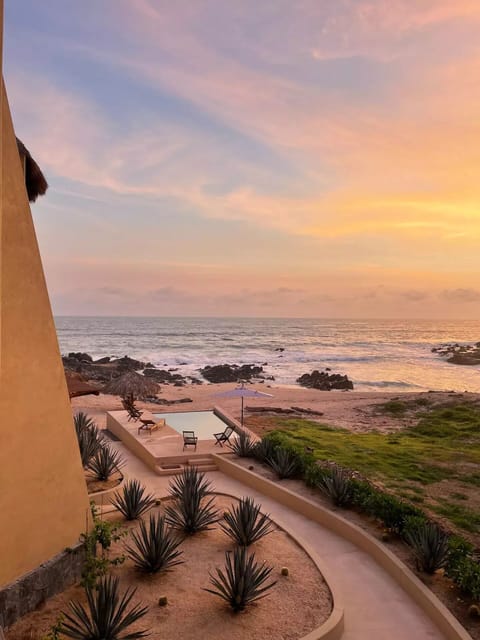 View from the living room