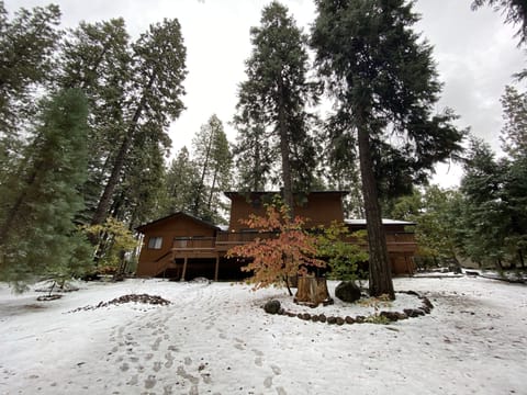 Snow fun in huge backyard without stepping out from home