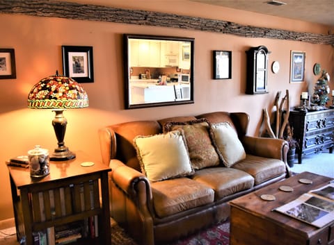 Soft leather sofa, tasteful decor, fast wifi, and free streaming channels.