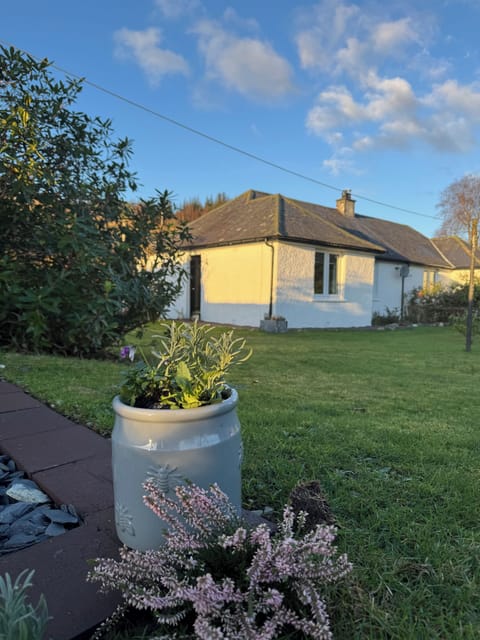 No 2 in mid November sunshine