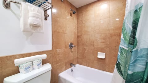 Combined shower/tub, hair dryer, towels, soap