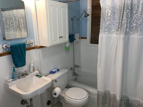Combined shower/tub, hair dryer, shampoo