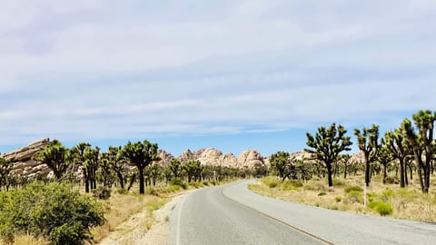The drive to Joshua Tree National Park