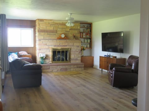 Smart TV, fireplace, books