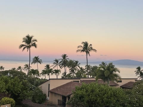 Beach/ocean view