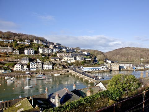 Panoramic views over Looe | Kerensa, Looe
