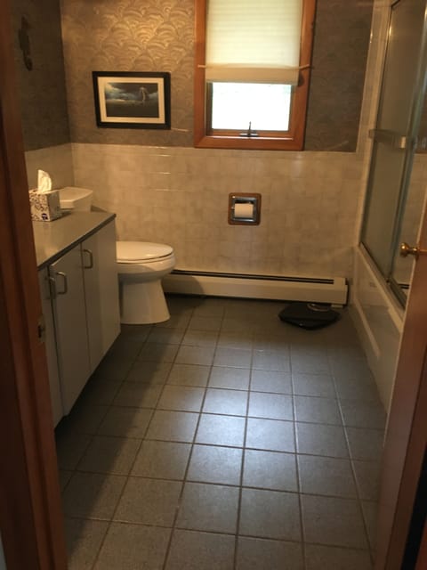 Combined shower/tub, hair dryer, towels, soap