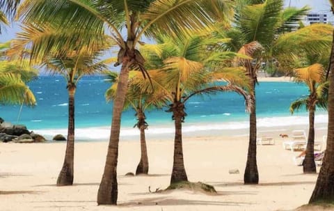 Beach nearby, beach towels