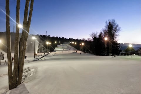 Snow and ski sports