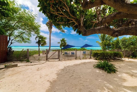 Beach nearby, sun loungers, beach towels