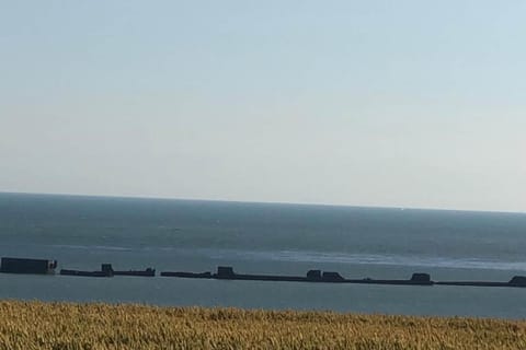 Region [summer] (&gt;5 km)