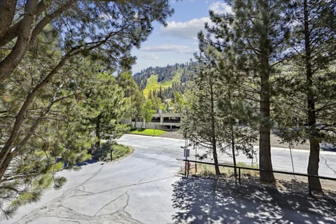 floor plan-view-_dsc4737