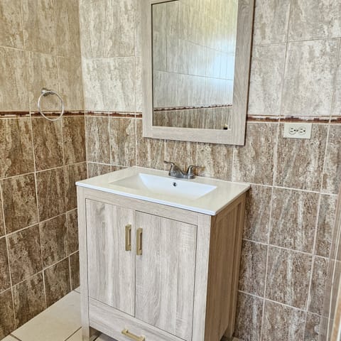 Combined shower/tub, hair dryer, bidet, towels