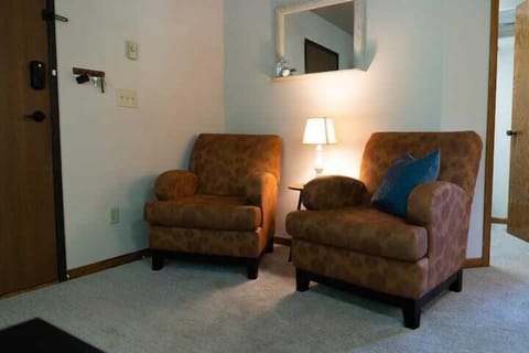 Sitting Chairs in Living Room