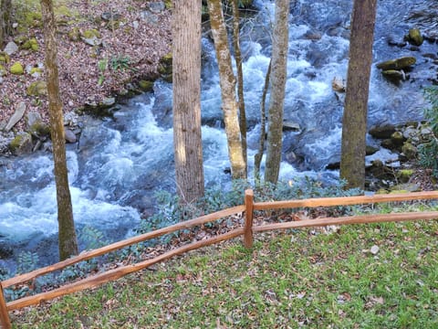 View from the back deck.