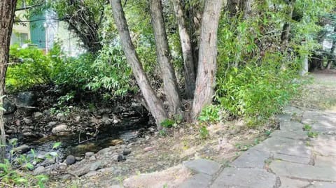 Seasonal stream flows through the backyard. Great Patio area