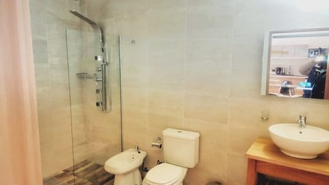 Combined shower/tub, jetted tub, hair dryer, bidet