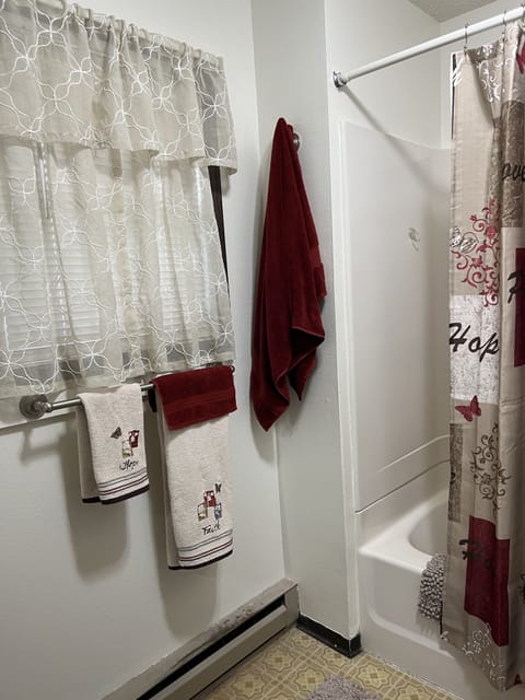 Combined shower/tub, towels, soap, toilet paper