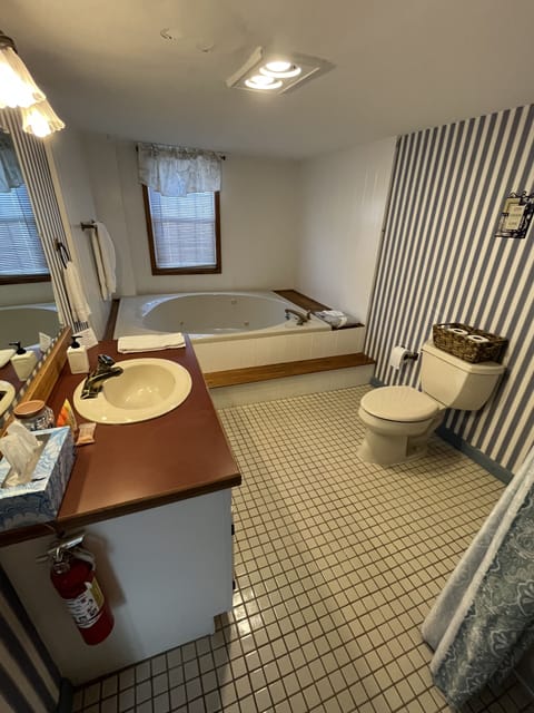 Shower, jetted tub, hair dryer, towels