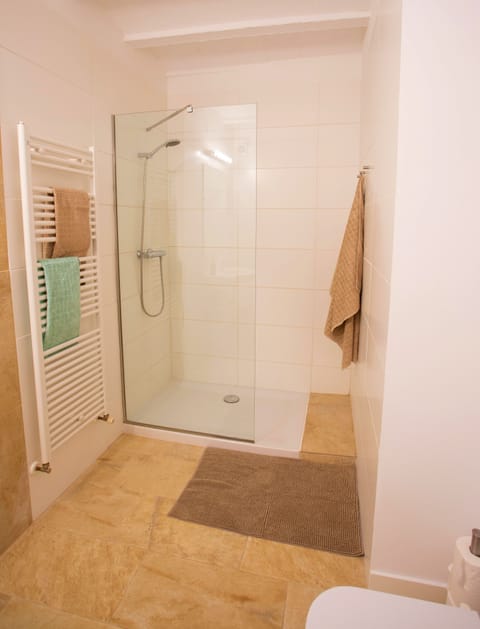 Combined shower/tub, hair dryer, towels, soap