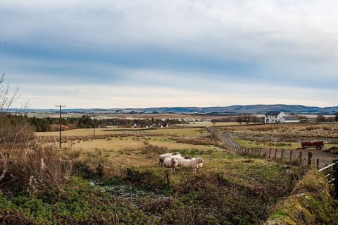 Shepherds Cottage - access track