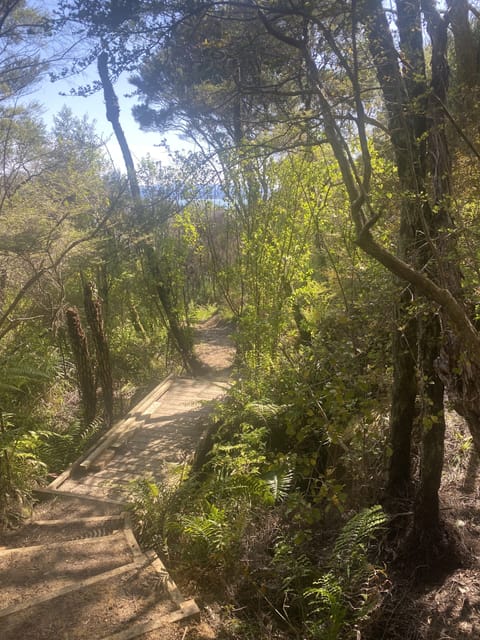 Our amazing property manager is working on a track around the property.