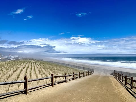 Beach nearby, sun loungers