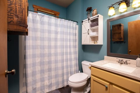 Combined shower/tub, hair dryer, bidet, towels