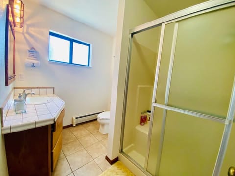 Shower, jetted tub, hair dryer, towels