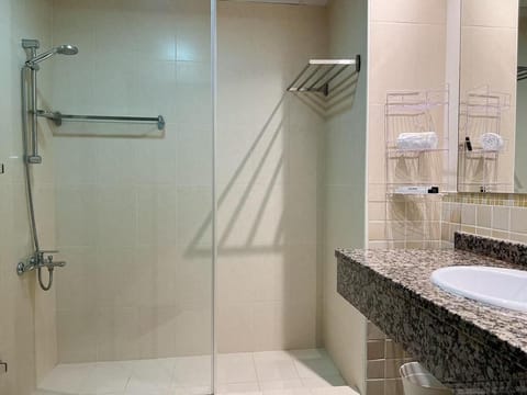 Combined shower/tub, bidet