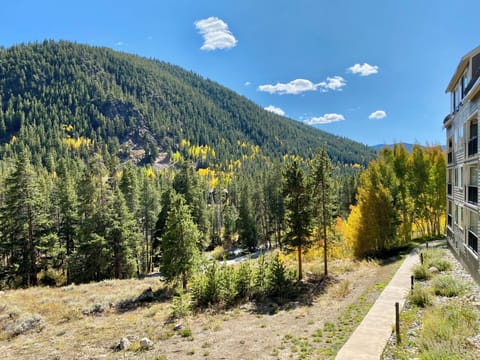Access to Snake River Trail #fall
