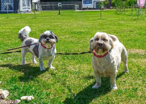 Stream Valley Holiday Park, Penzance