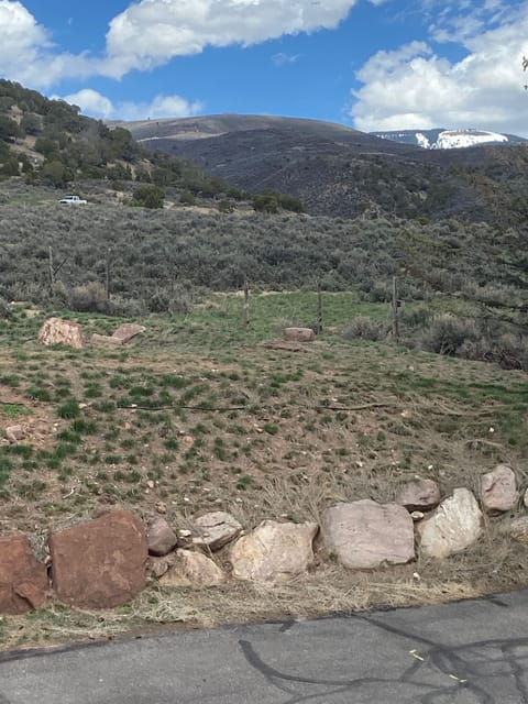 Steps to frisbee golf, mnt biking and hiking.